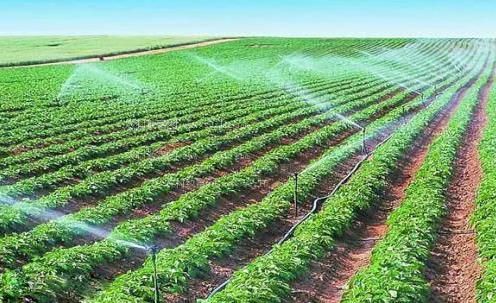 免费的鸡巴网站农田高 效节水灌溉